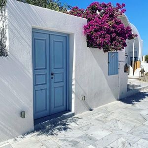 Meet your Posher, Hayley